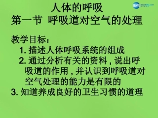 山东省淄博市临淄区第八中学七年级生物下册 3.1 呼吸道对空气的处理课件 新人教版