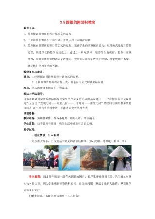 山东省枣庄市峄城区吴林街道中学九年级数学下册 3.8 圆锥的侧面积教案 北师大版