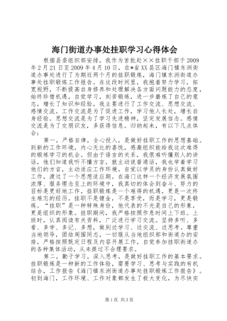 海门街道办事处挂职学习心得体会