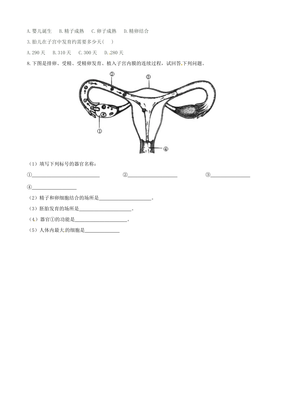 山东省淄博市临淄区第八中学七年级生物下册 第一章 人的由来测试讲评教案 新人教版_第3页