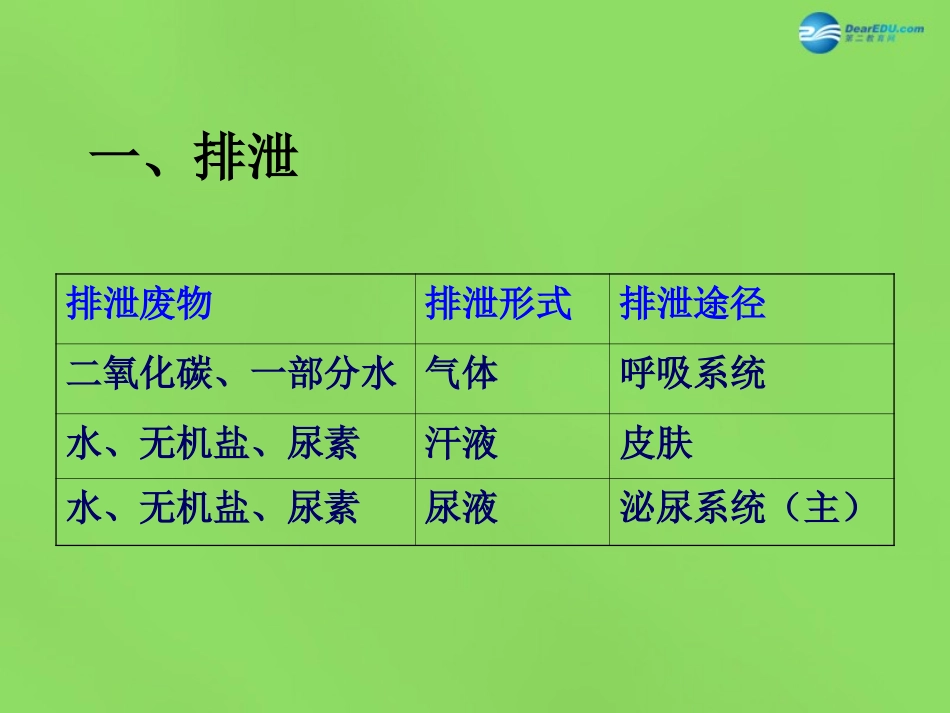 山东省淄博市临淄区第八中学七年级生物下册 第五章 第一节 尿的形成与排出课件2 新人教版_第3页