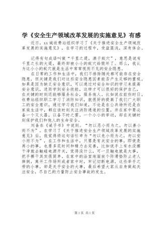 学《安全生产领域改革发展的实施意见》有感