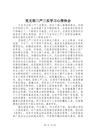 党支部三严三实学习心得体会