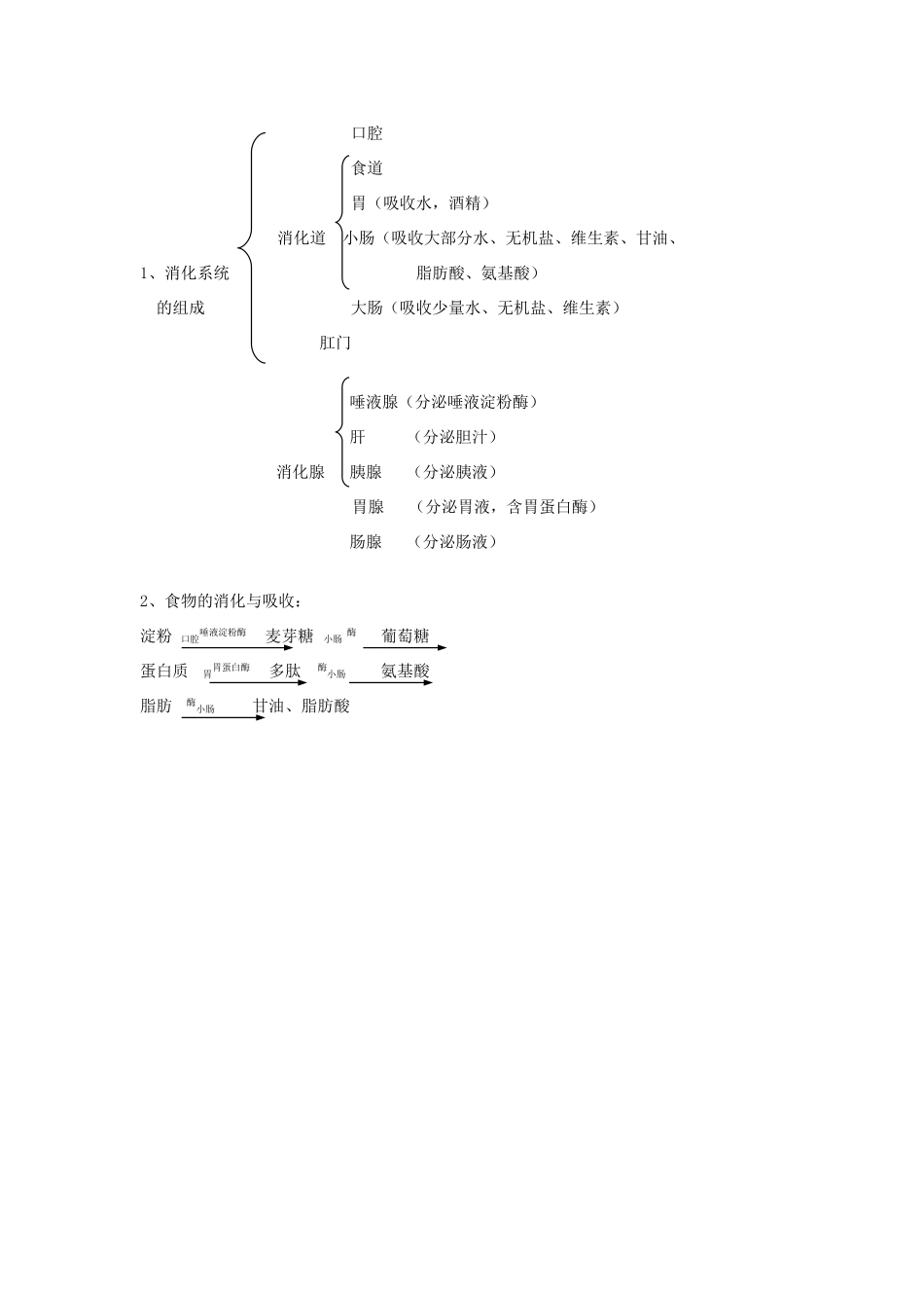 山东省淄博市沂源县燕崖中学七年级生物下册 9.2 人体的消化与吸收教案 苏教版_第3页