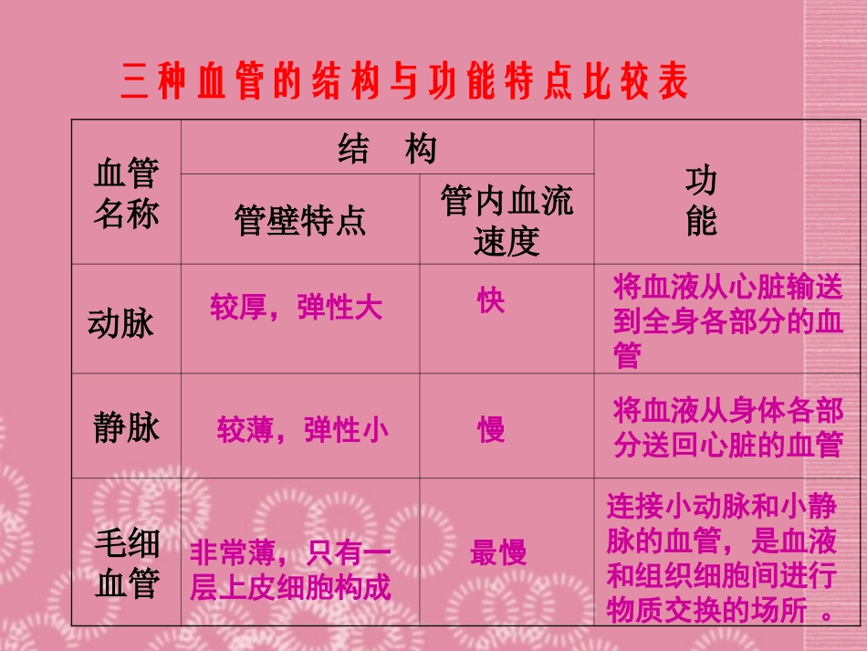 云南省祥云县禾甸中学七年级生物下册《10-2 血液循环》课件 苏教版_第3页