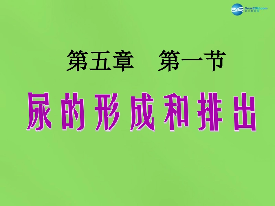 山东省淄博市临淄区第八中学七年级生物下册 第五章 第一节 尿的形成与排出课件3 新人教版_第1页