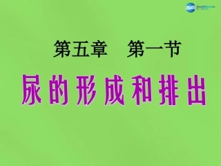 山东省淄博市临淄区第八中学七年级生物下册 第五章 第一节 尿的形成与排出课件3 新人教版