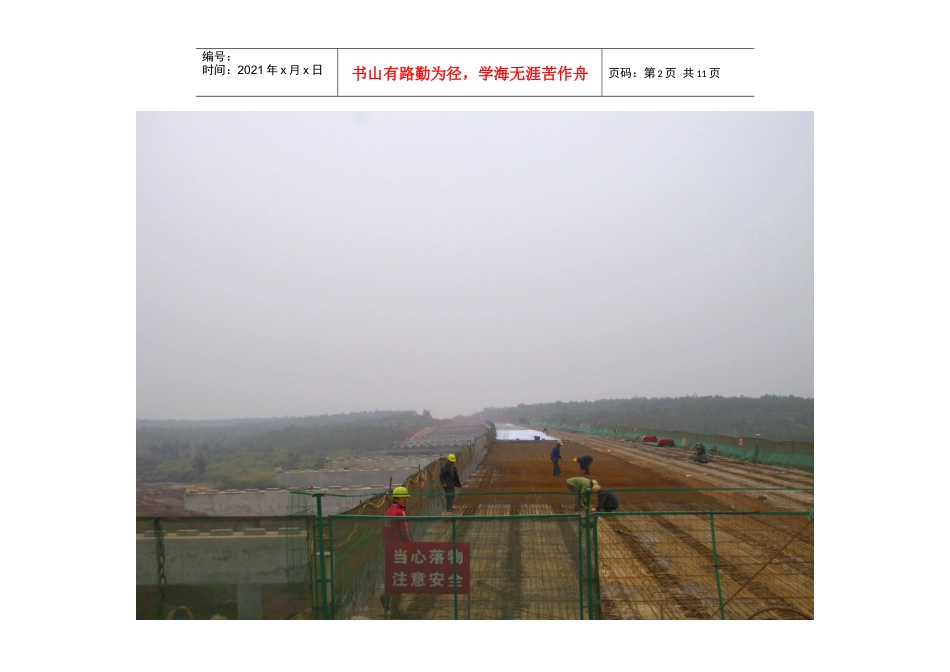 桂武第一合同段山湾冲高架桥施工进展情况_第2页