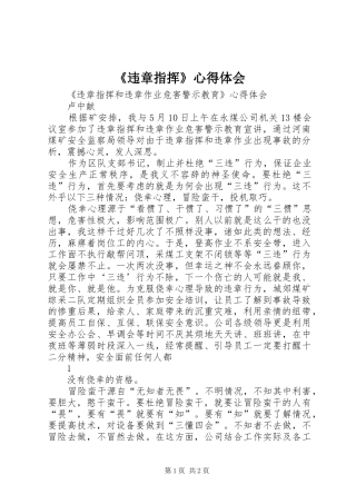 《违章指挥》心得体会