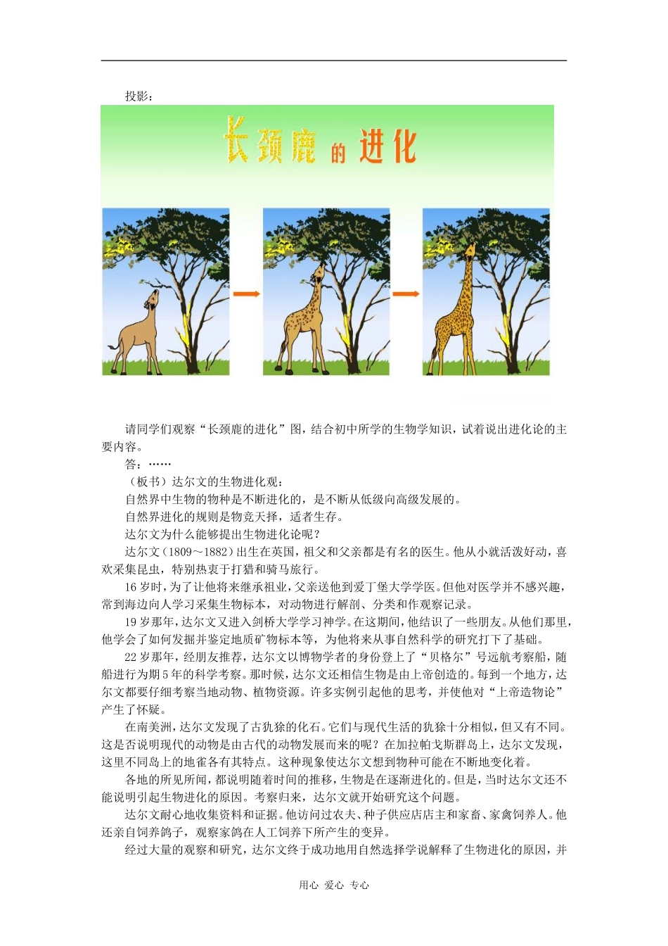 高中历史追寻生命的起源（教案）_第2页