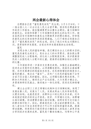 两会最新心得体会