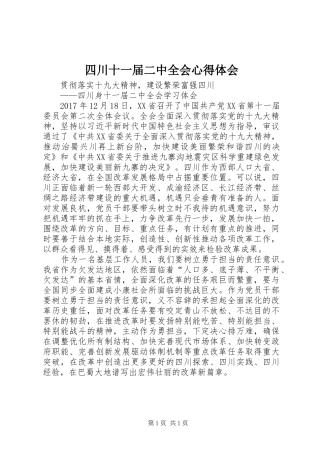 四川十一届二中全会心得体会
