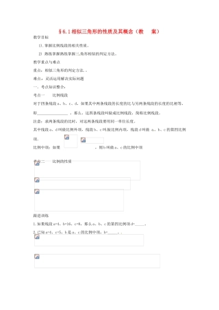 中考数学复习 6.1相似三角形的概念及其性质教案