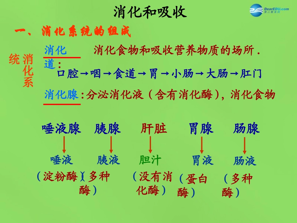 山东省淄博市临淄区第八中学七年级生物下册 第二章 人体的营养课件2 新人教版_第3页