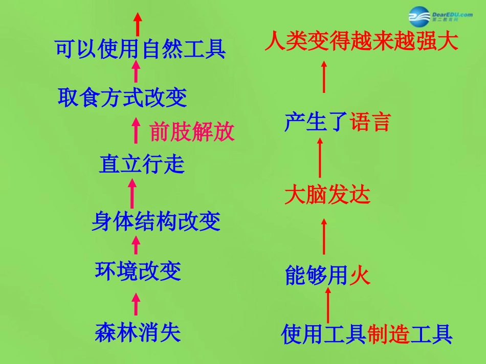 山东省淄博市临淄区第八中学七年级生物下册 1.2 人的生殖课件2 新人教版_第1页