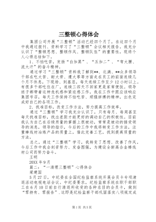 三整顿心得体会