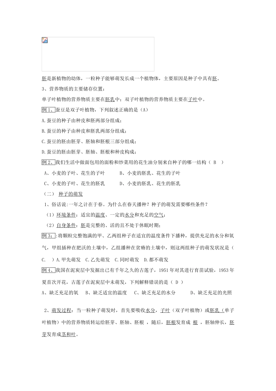 中考生物 被子植物的一生复习教案 新人教版_第2页