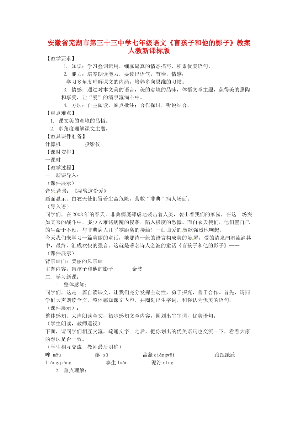 安徽省芜湖市第三十三中学七年级语文《盲孩子和他的影子》教案 人教新课标版_第1页