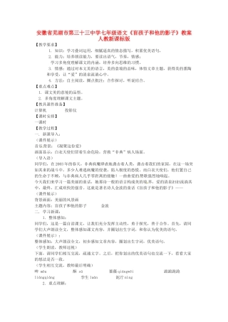 安徽省芜湖市第三十三中学七年级语文《盲孩子和他的影子》教案 人教新课标版