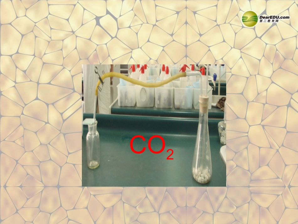 天津市梅江中学九年级化学上册 第六单元 碳和碳的氧化物 课题2 二氧化碳制取的研究课件 （新版）新人教版_第2页