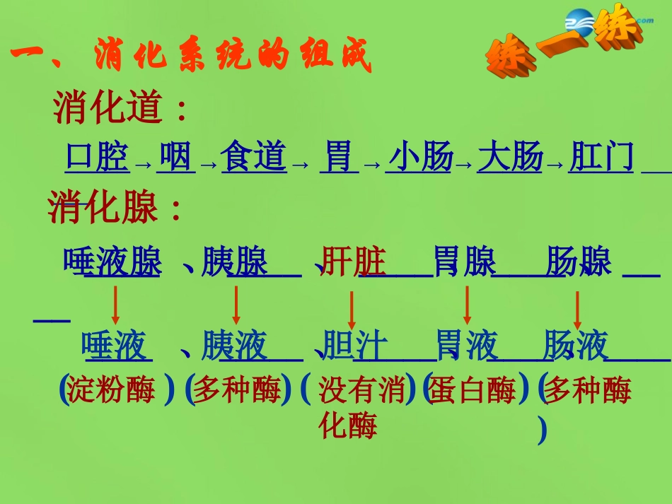 山东省淄博市临淄区第八中学七年级生物下册 2.2 消化和吸收课件2 新人教版_第2页