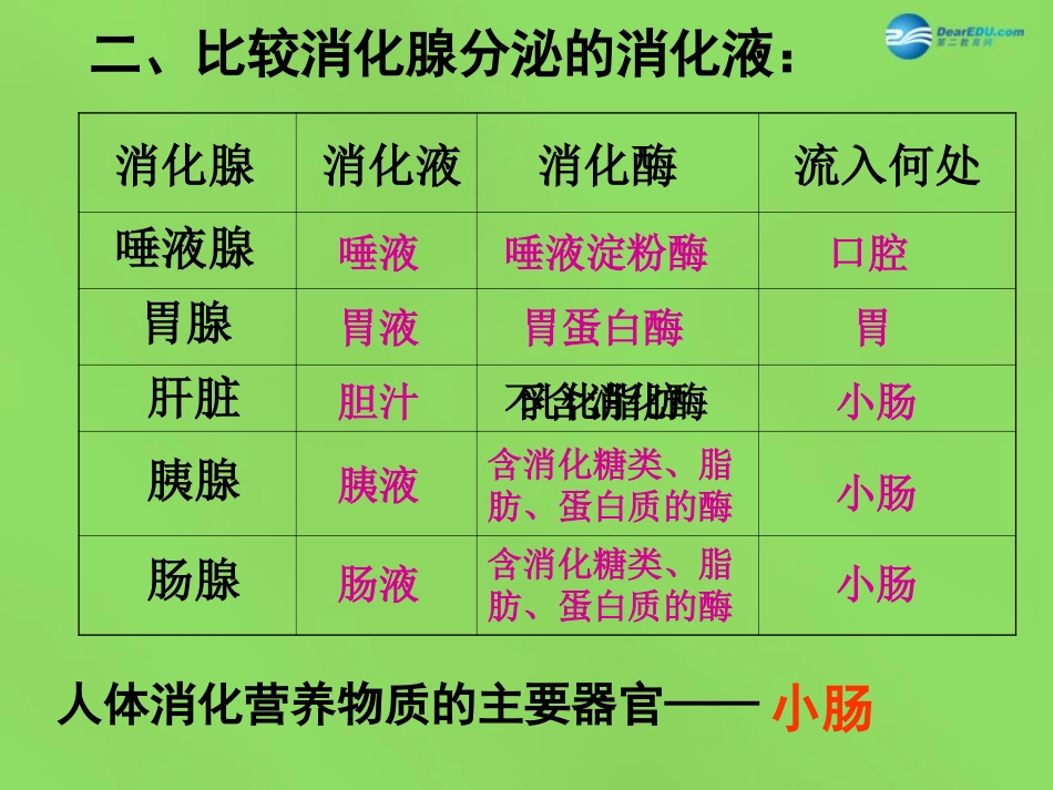 山东省淄博市临淄区第八中学七年级生物下册 2.2 消化和吸收课件2 新人教版_第3页