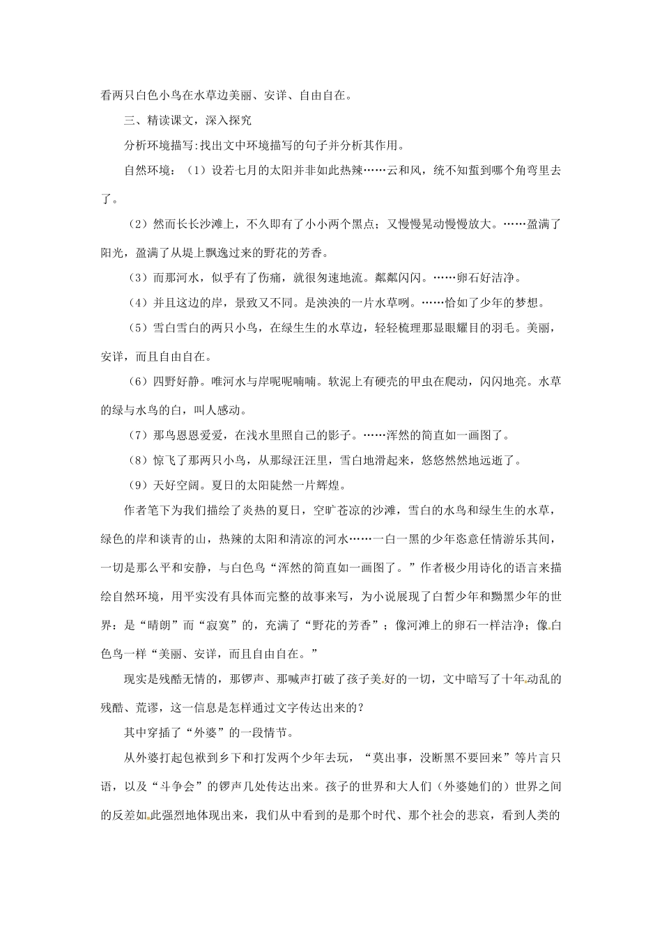 八年级语文下册 第17课《白色鸟》教学设计 鲁教版-鲁教版初中八年级下册语文教案_第2页