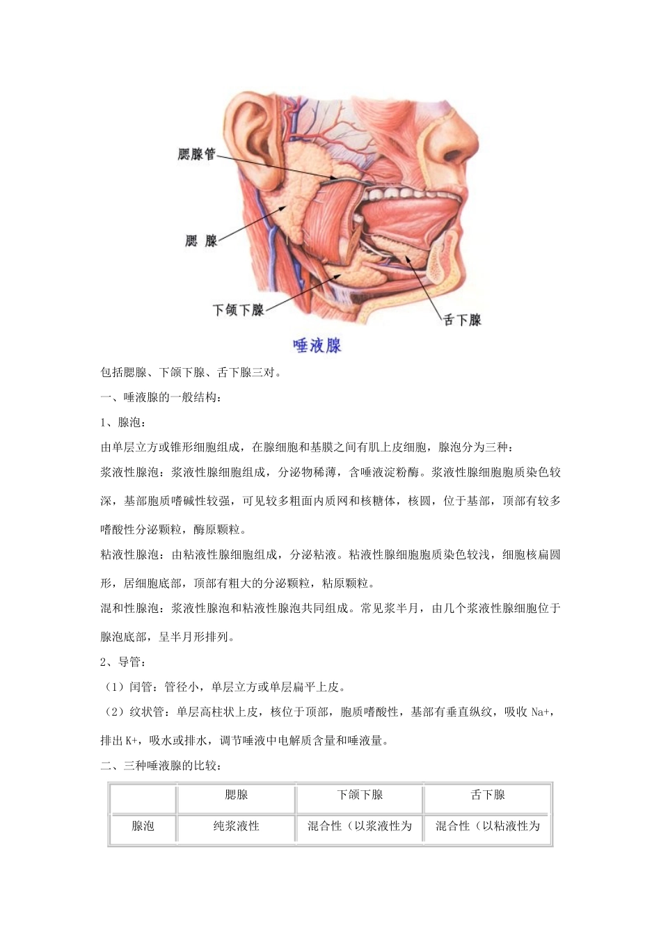 云南省祥云县禾甸中学七年级生物下册《9-2 人体的消化与吸收》（10课时）教案 苏教版_第3页