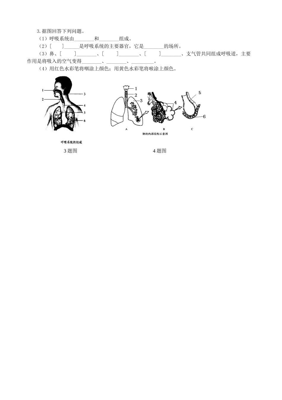 山东省淄博市临淄区第八中学七年级生物下册 第三章 人体的呼吸测试讲评教案 新人教版_第3页