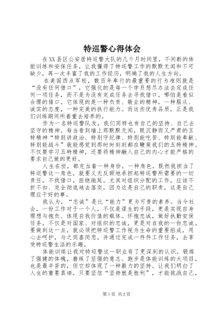 特巡警心得体会