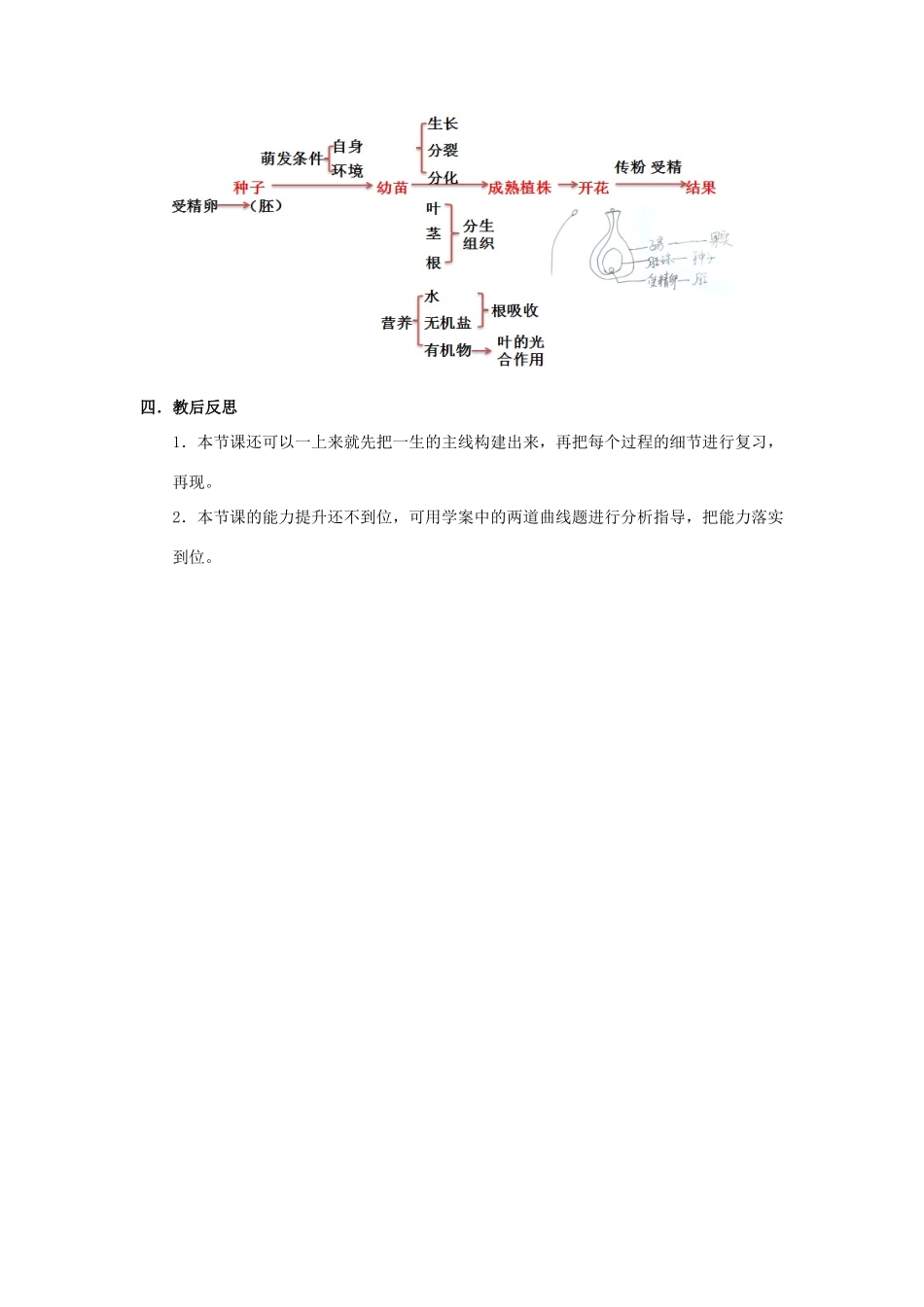 中考生物《被子植物的一生》复习教学设计-人教版初中九年级全册生物教案_第2页
