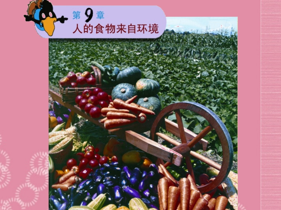 云南省祥云县禾甸中学七年级生物下册《9-1 人体需要的主要营养物质》课件 苏教版_第1页