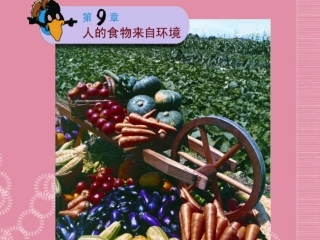 云南省祥云县禾甸中学七年级生物下册《9-1 人体需要的主要营养物质》课件 苏教版