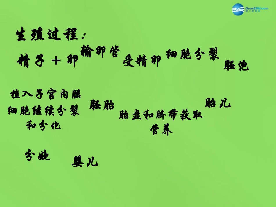 山东省淄博市临淄区第八中学七年级生物下册 1.3 青春期课件 新人教版_第2页