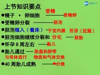 山东省淄博市临淄区第八中学七年级生物下册 1.3 青春期课件 新人教版