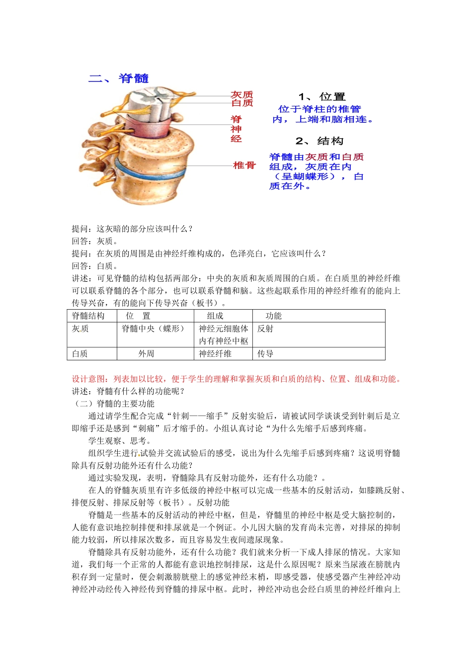 山东省枣庄市峄城区吴林街道中学七年级生物下册 第五章 第二节 神经调节的结构基础-脊髓教案 济南版_第2页