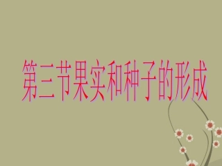 山东省枣庄市峄城区吴林街道中学八年级生物上册《果实和种子的形成》课件 新人教版