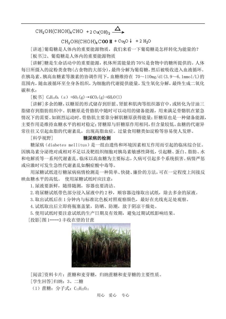 高中化学 第一章第一节 生命的基础能源-糖类教案2.1人教版必修1_第3页
