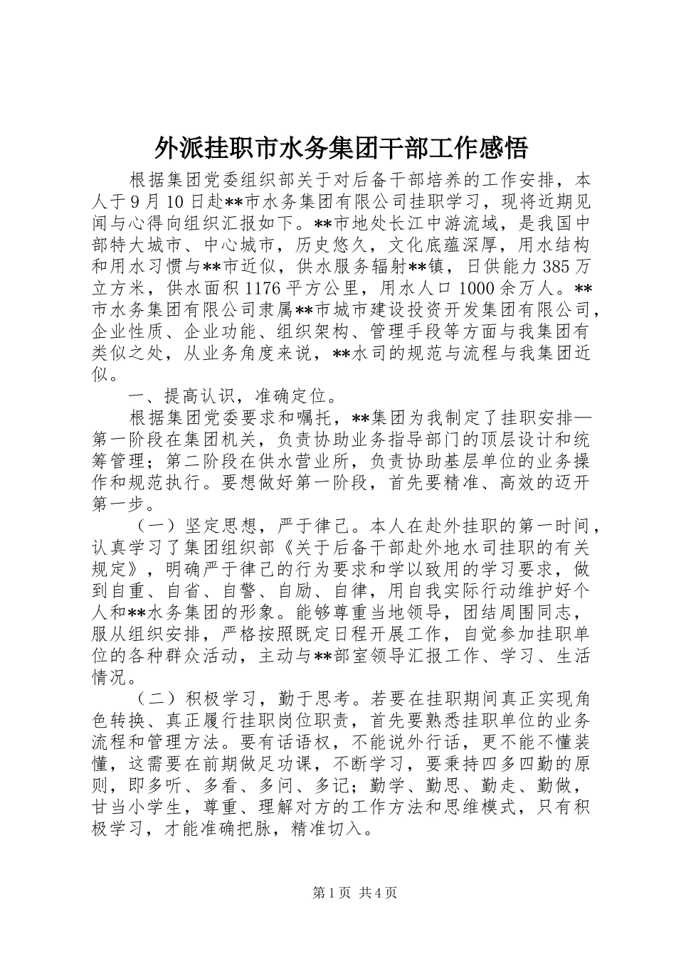 外派挂职市水务集团干部工作感悟_第1页
