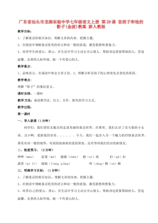 广东省汕头市龙湖实验中学七年级语文上册 第29课 盲孩子和他的影子教案 新人教版
