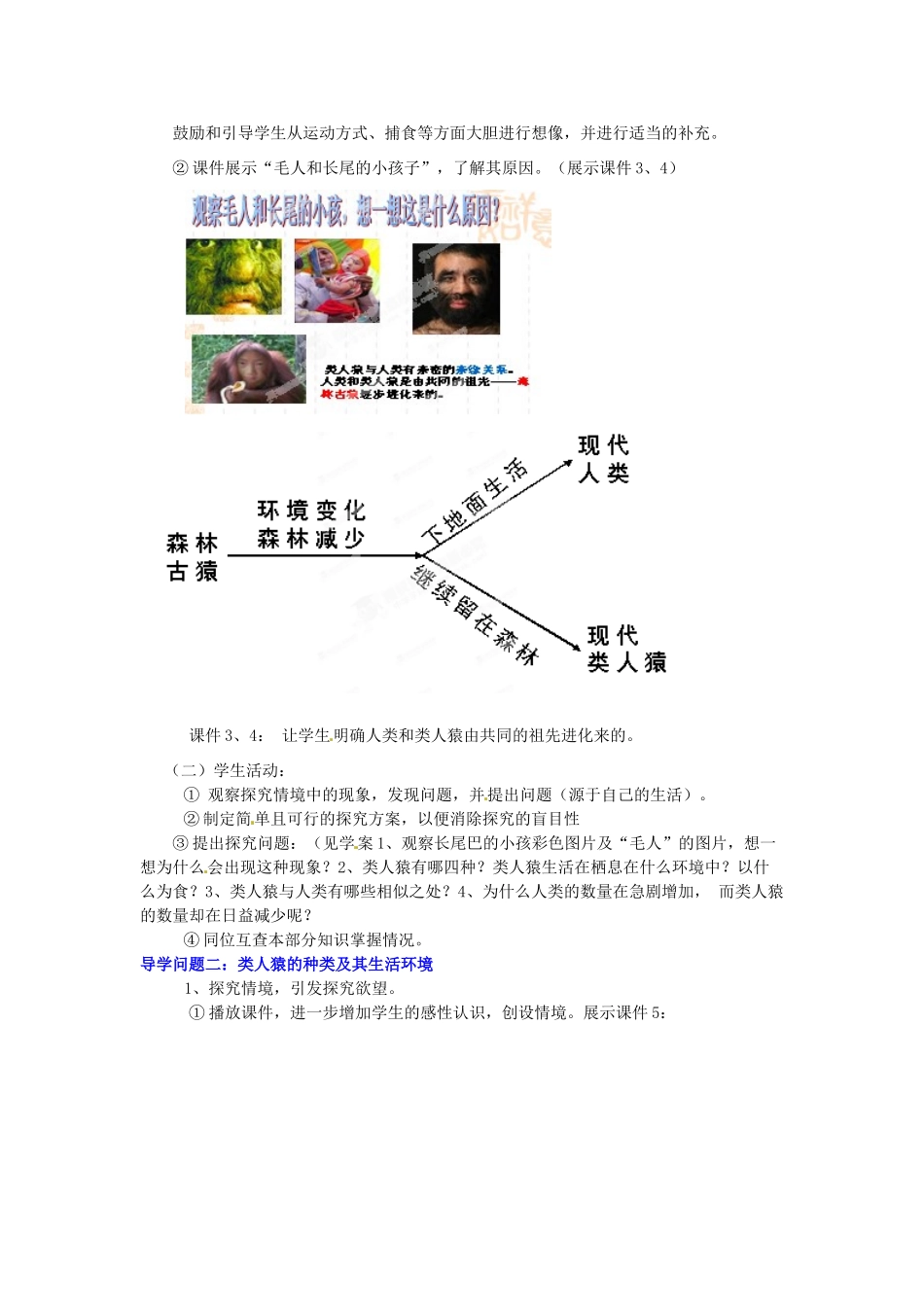 山东省枣庄市峄城区吴林街道中学八年级生物下册 第五单元 第二章《人类的起源和进化》第1节《人类的起源》教案 济南版_第3页
