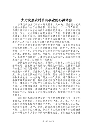 大力发展农村公共事业的心得体会