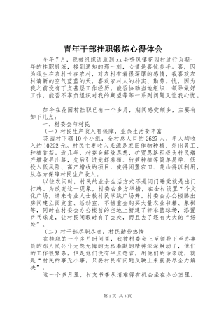 青年干部挂职锻炼心得体会
