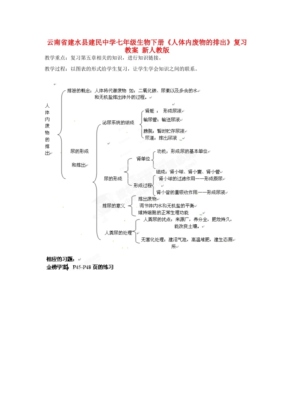 云南省建水县建民中学七年级生物下册《人体内废物的排出》复习教案 新人教版_第1页
