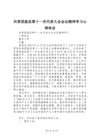 共青团盘县第十一次代表大会会议精神学习心得体会