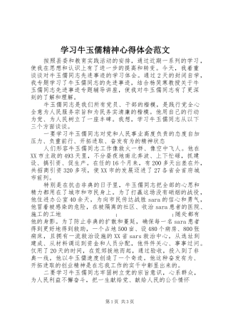 学习牛玉儒精神心得体会范文