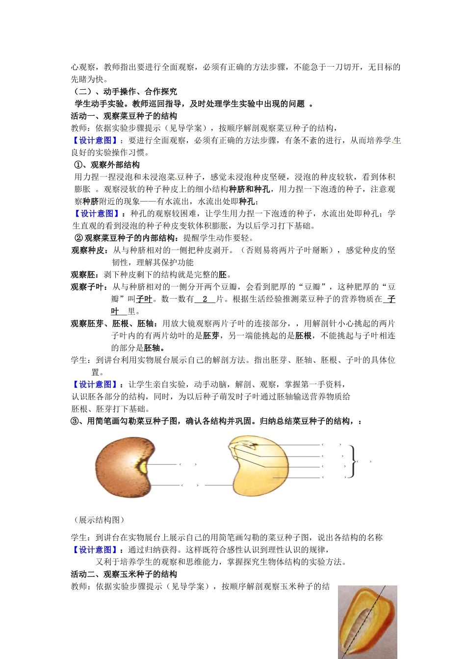 山东省枣庄市峄城区吴林街道中学八年级生物上册《果实和种子的形成》教案 新人教版_第3页