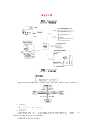 高中化学 第2章 章末复习课教案 新人教版必修第一册-新人教版高一第一册化学教案