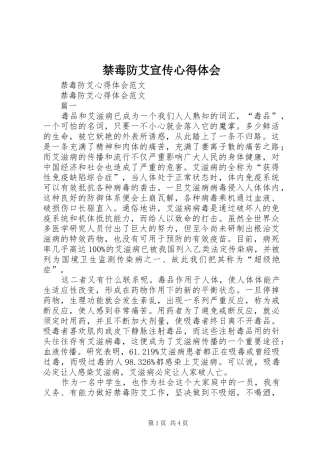 禁毒防艾宣传心得体会