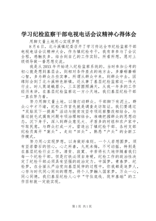 学习纪检监察干部电视电话会议精神心得体会
